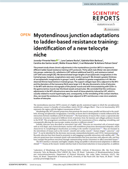 Myotendinous Junction Adaptations to Ladder-Based Resistance