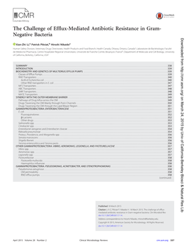 The Challenge of Efflux-Mediated Antibiotic Resistance in Gram- Negative Bacteria