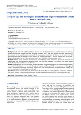 Morphologic and Histological Differentiation of Gubernaculum in Female Fetus: a Cadaveric Study