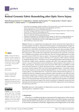 Retinal Genomic Fabric Remodeling After Optic Nerve Injury