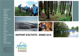 Rapport D'activite