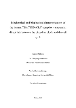 A Potential Direct Link Between the Circadian Clock and the Cell Cycle