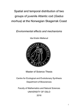 Spatial and Temporal Distribution of Two Groups of Juvenile Atlantic Cod (Gadus Morhua) at the Norwegian Skagerrak Coast