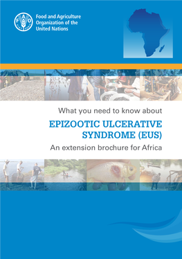 How Is Epizootic Ulcerative Syndrome (EUS) Diagnosed? 10
