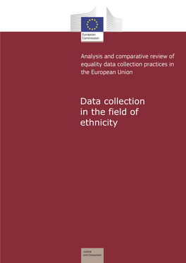 Data Collection in the Field of Ethnicity