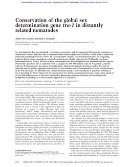 Conservation of the Global Sex Determination Gene Tra-1 in Distantly Related Nematodes