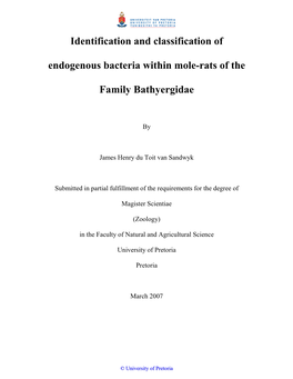 Identification and Classification of Endogenous Bacteria Within Mole-Rats of The