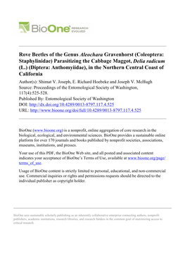 Rove Beetles of the Genus Aleochara Gravenhorst