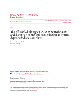 The Effect of Whole Egg on DNA Hypomethylation and Disruption of One-Carbon Metabolism in Insulin Dependent Diabetes Mellitus