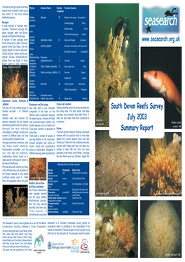 July 2003 Diver and Species) Especially the Sea Beards Crisp Bryozoans Were Common and Occurrence