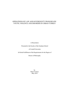 Operations of Law and Sovereignty from Below: Youth, Violence and Disorder in Urban Turkey