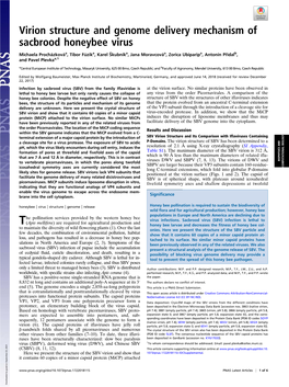 Virion Structure and Genome Delivery Mechanism of Sacbrood Honeybee Virus