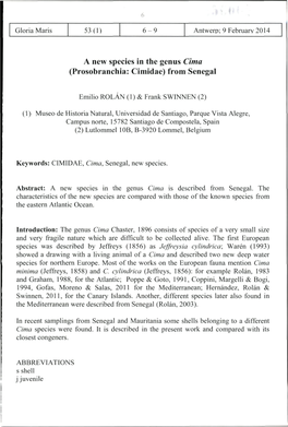 A New Species in the Genus Cima (Prosobrancliia: Cimidae) from Senegal