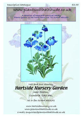 Hardy Plant Collections Try One of Our Collections of Trough Plants