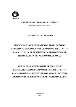 Mecanismos Moleculares De Regulação Do Gene Hbg1