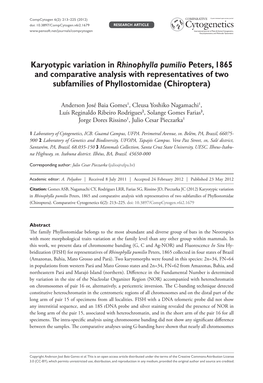 Karyotypic Variation in Rhinophylla Pumilio Peters, 1865 and Comparative Analysis with Representatives of Two Subfamilies of Phyllostomidae (Chiroptera)