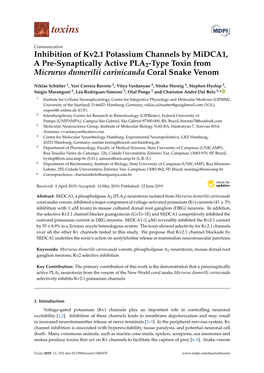 Inhibition of Kv2.1 Potassium Channels by Midca1, a Pre-Synaptically Active PLA2-Type Toxin from Micrurus Dumerilii Carinicauda Coral Snake Venom