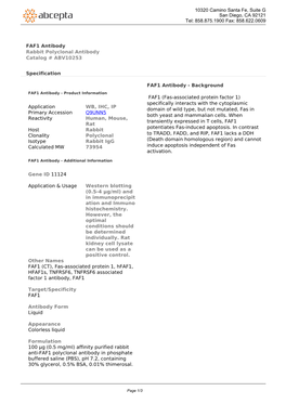FAF1 Antibody Rabbit Polyclonal Antibody Catalog # ABV10253