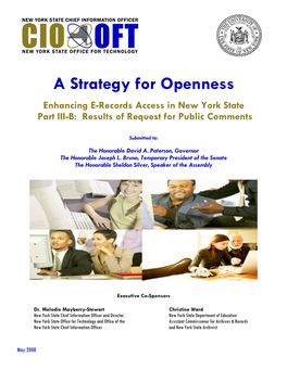 A Strategy for Openness Enhancing E-Records Access in New York State Part III-B: Results of Request for Public Comments