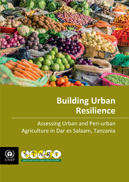 Building Urban Resilience Assessing Urban and Peri-Urban Agriculture in Dar Es Salaam, Tanzania