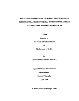 Wright Andredenisg Phd.Pdf