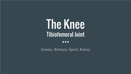 The Knee Tibiofemoral Joint