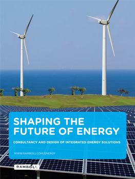Shaping the Future of Energy