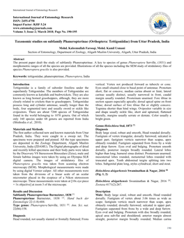 Taxonomic Studies on Subfamily Phaneropterinae (Orthoptera: Tettigoniidae) from Uttar Pradesh, India