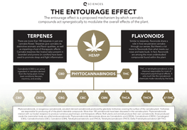 THE ENTOURAGE EFFECT the Entourage Effect Is a Proposed Mechanism by Which Cannabis Compounds Act Synergistically to Modulate the Overall Effects of the Plant