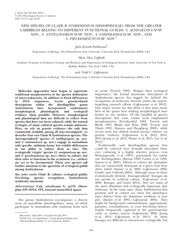 New Species of Clade B Symbiodinium (Dinophyceae) from the Greater Caribbean Belong to Different Functional Guilds: S