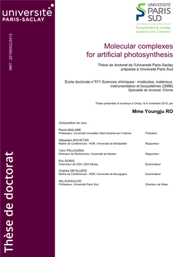 Molecular Complexes for Artificial Photosynthesis