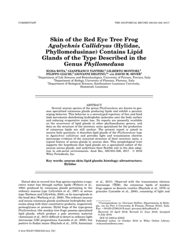 Skin of the Red Eye Tree Frog Agalychnis Callidryas (Hylidae, Phyllomedusinae) Contains Lipid Glands of the Type Described in the Genus Phyllomedusa