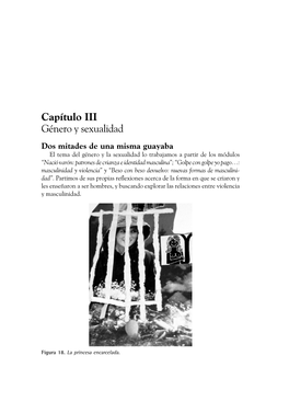 Capítulo III Género Y Sexualidad