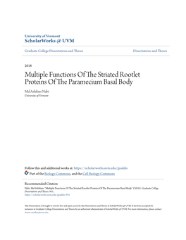 Multiple Functions of the Striated Rootlet Proteins of the Paramecium Basal Body