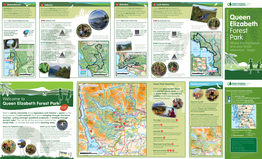 Queen Elizabeth Forest Park Summits of Ben A’An, Ben Venue, Ben Ledi and Do a Little