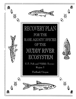 Recovery Plan for the Rare Aquatic Species of the Muddy River Ecosystem