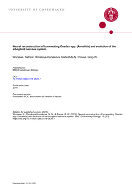 Neural Reconstruction of Bone-Eating Osedax Spp. (Annelida) and Evolution of the Siboglinid Nervous System