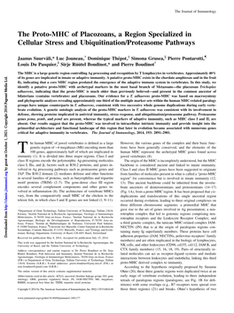 Ubiquitination/Proteasome Pathways Specialized in Cellular Stress