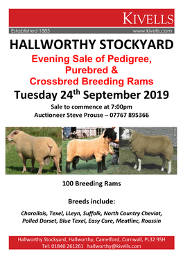 HALLWORTHY STOCKYARD Evening Sale of Pedigree, Purebred & Crossbred Breeding Rams Tuesday 24Th September 2019