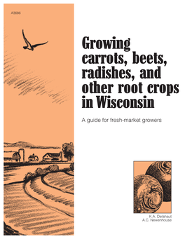 Growing Carrots, Beets, Radishes, and Other Root Crops in Wisconsin