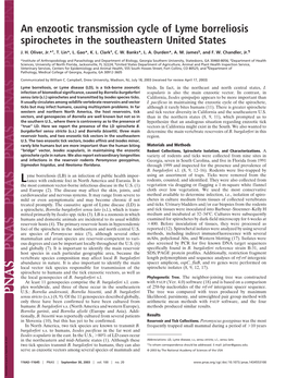 An Enzootic Transmission Cycle of Lyme Borreliosis Spirochetes in the Southeastern United States