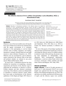 The Olfactory Mucosa of River Catfish, Eutropiichthys Vacha (Hamilton, 1822): a Histochemical Study