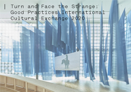 Good Practices International Cultural Exchange 2020 Turn and Face the Strange: Good Practices International | Introduction | Cultural Exchange 2020