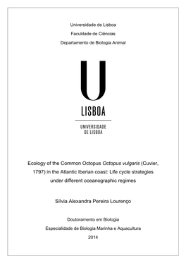 Ecology of the Common Octopus Octopus Vulgaris (Cuvier, 1797) in the Atlantic Iberian Coast: Life Cycle Strategies Under Different Oceanographic Regimes