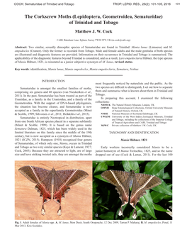 The Corkscrew Moths (Lepidoptera, Geometroidea, Sematuridae) of Trinidad and Tobago