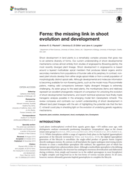 Ferns: the Missing Link in Shoot Evolution and Development