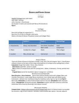 Bones and Bone Tissue