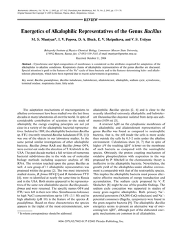 Energetics of Alkalophilic Representatives of the Genus Bacillus