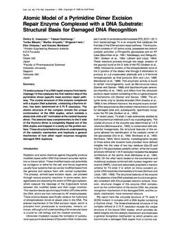 Atomic Model of a Pyrimidine Dimer Excision Repair Enzyme Complexed with a DNA Substrate: Structural Basis for Damaged DNA Recognition