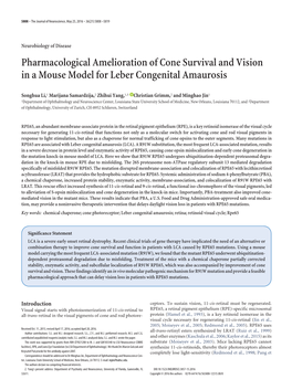 Pharmacological Amelioration of Cone Survival and Vision in a Mouse Model for Leber Congenital Amaurosis